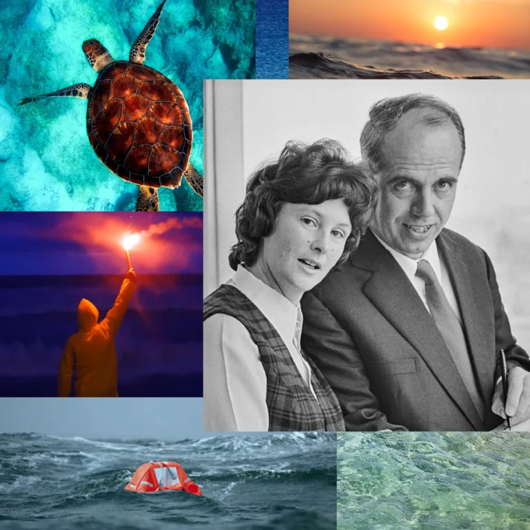 bannerMMBailey900x900